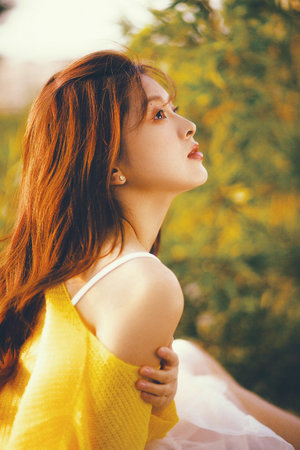 成全动漫视频在线观看免费高清